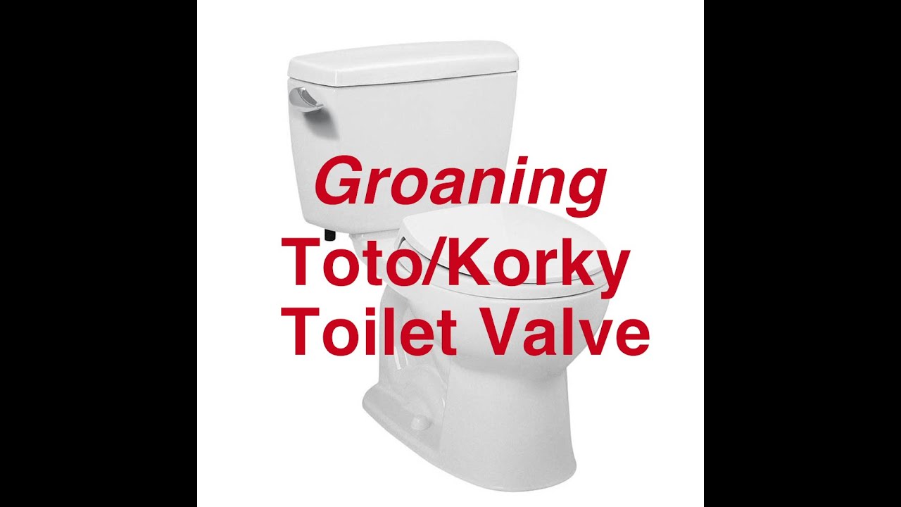 How To: Noisy Groaning/Wailing Toto/Korky Toilet Valve