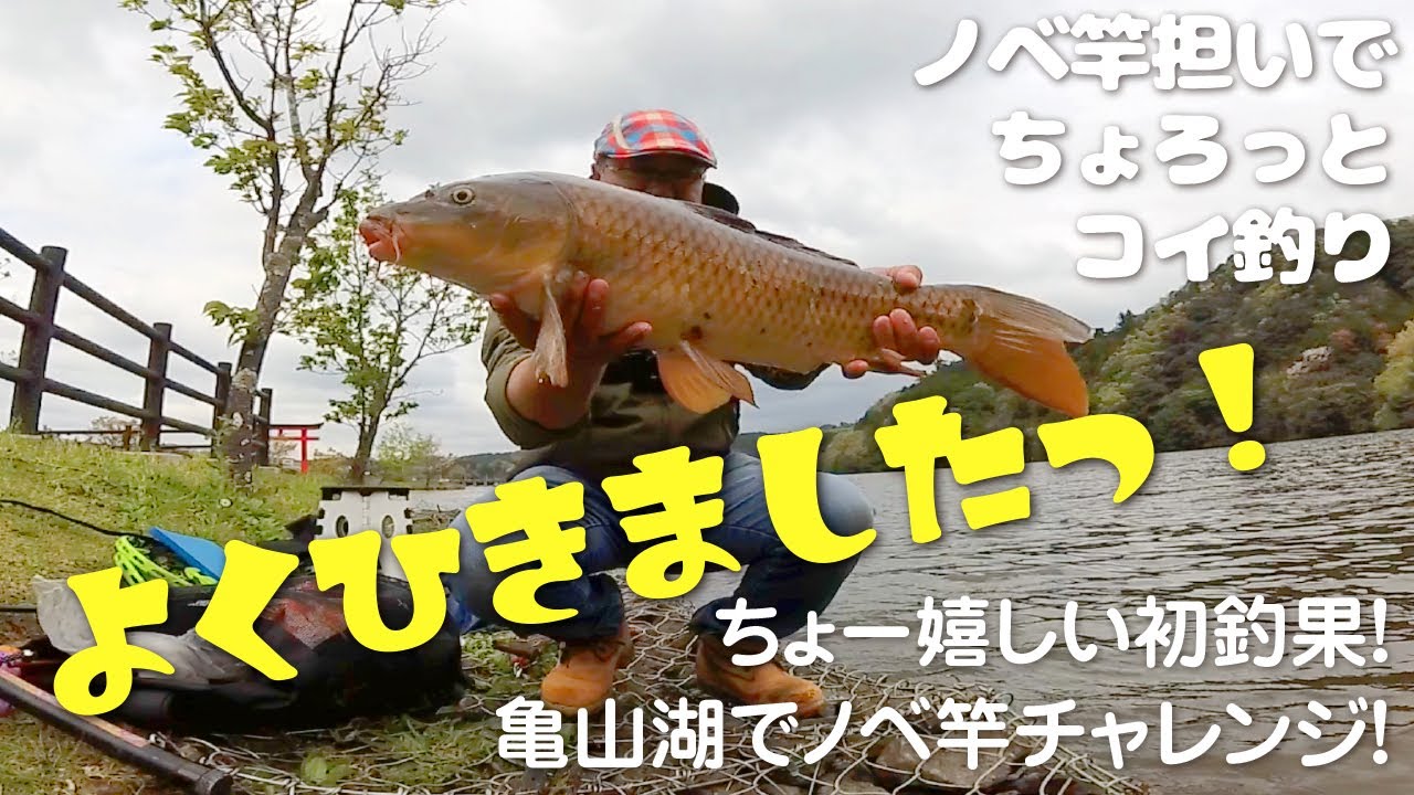【のべ竿担いで】ちょろっとコイ釣り【亀山湖でノベ竿チャレンジ！】