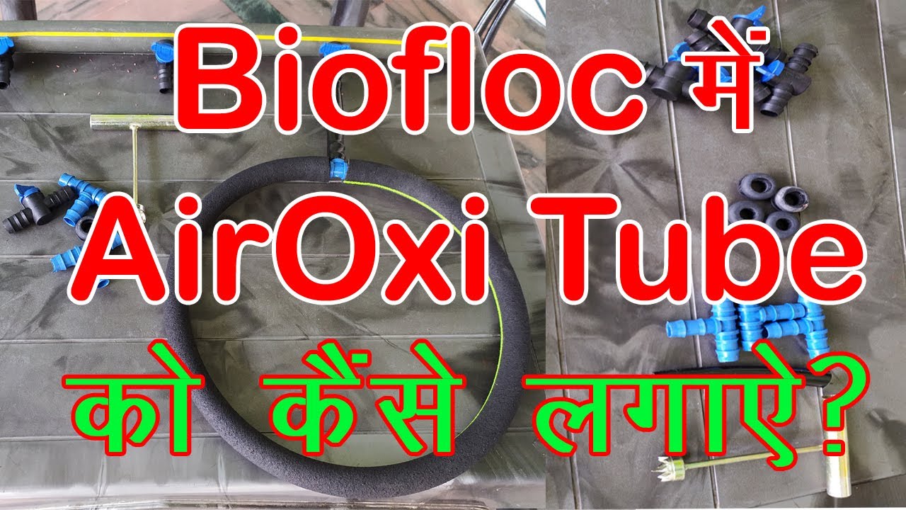 Biofloc l How To Setup AirOxi Tube in Biofloc l टैंक में AirOxi Tube कैसे लगाये l Oxygen Pump Seting
