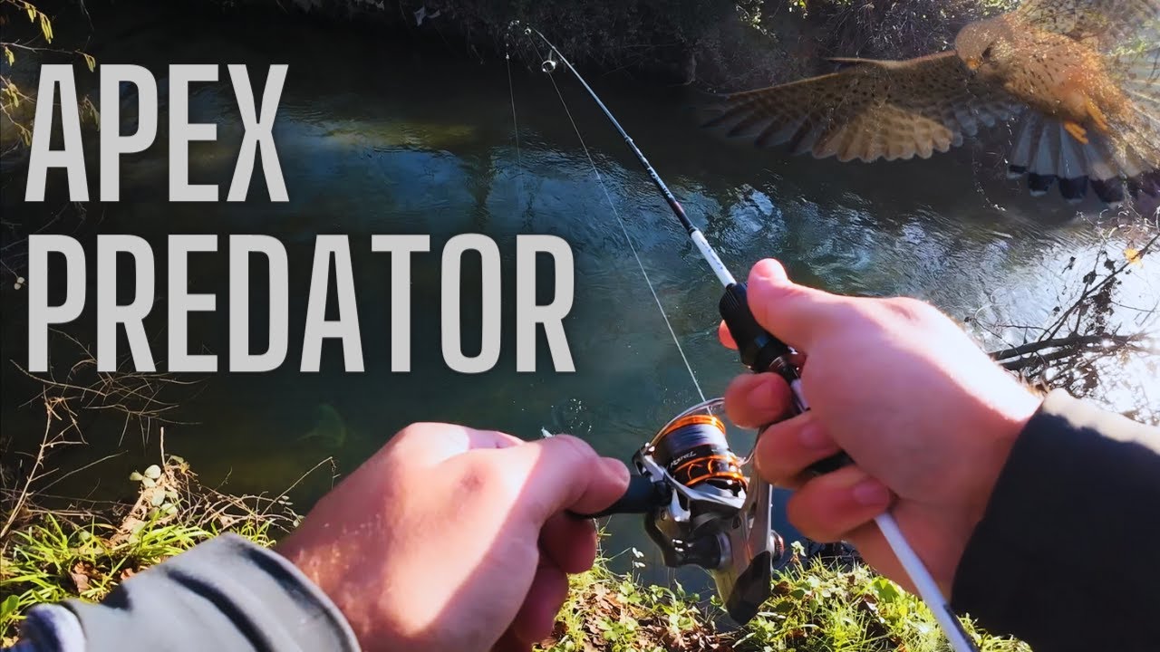 Fishing the Kastking Kestrel get's me a NEW PB!