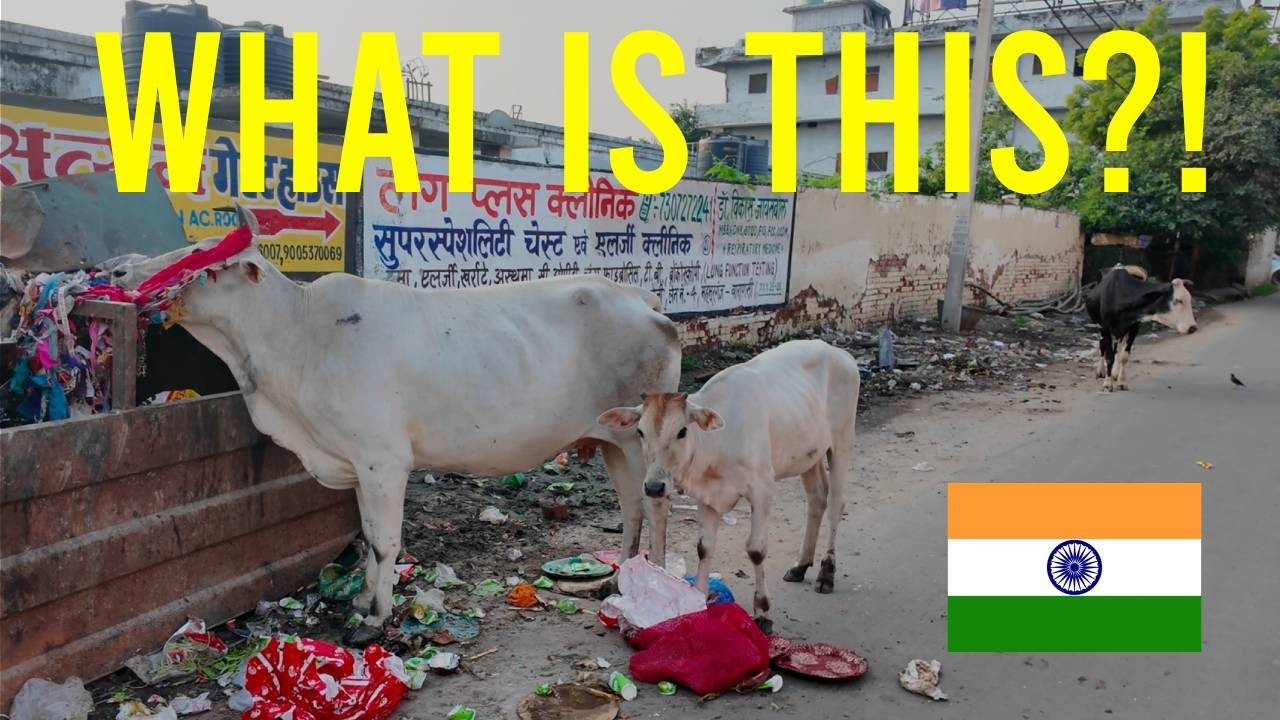 India is Pure Madness 🇮🇳