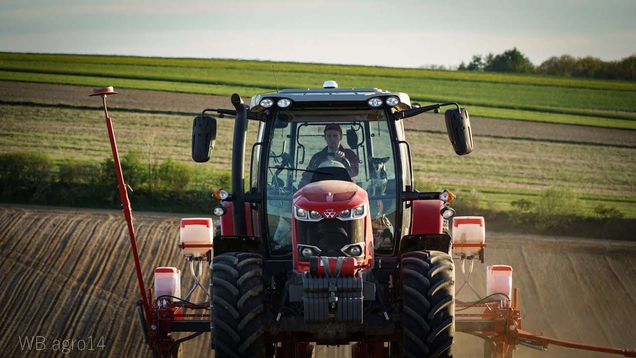 Siew Kukurydzy 2021 w Gr Suszek |  Massey Ferguson 7715S | New Holland Tm 125 | Gaspardo