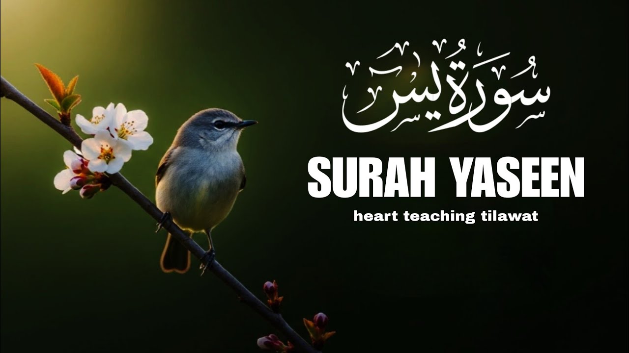 Surah Yasin Full Recitation | Heart Touching Quran Tilawat for Peace, Healing & Blessings