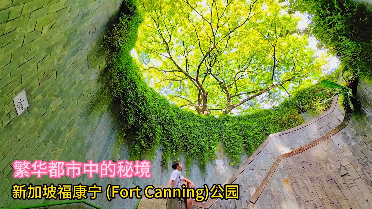 繁华都市中的秘境，新加坡福康宁(Fort Canning Park)公园