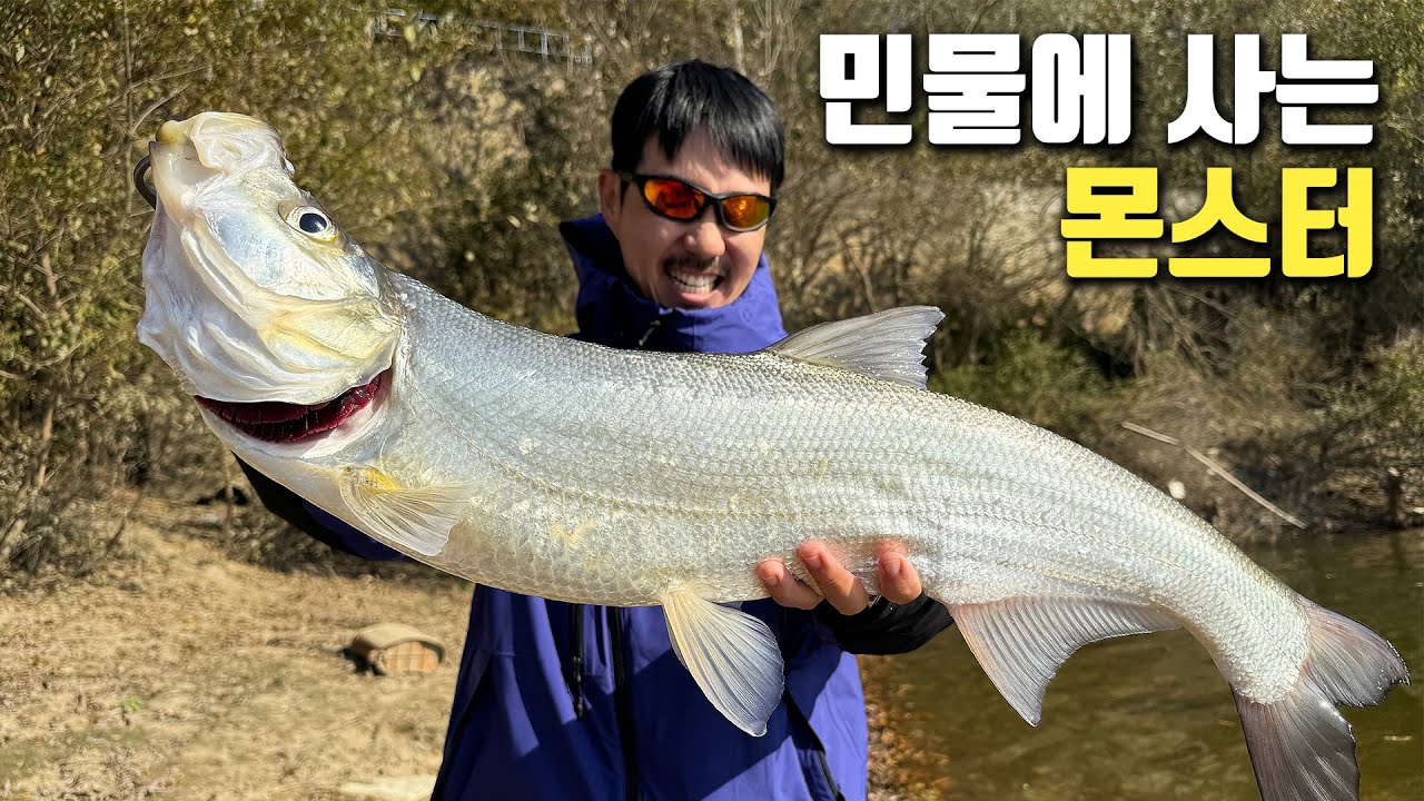 아무도 먹지 않는 거대한 강준치를 잡아서 고급 요리를 만들어보자!
