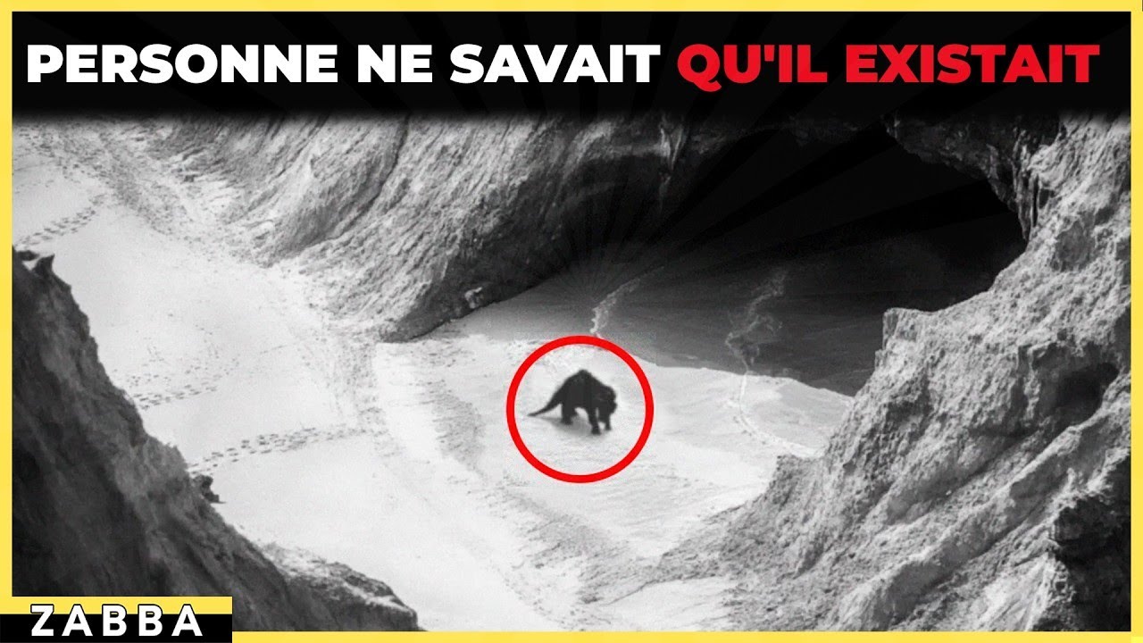 Quand Les Explorateurs Tombent Sur L&rsquo;Impossible ! Compilation