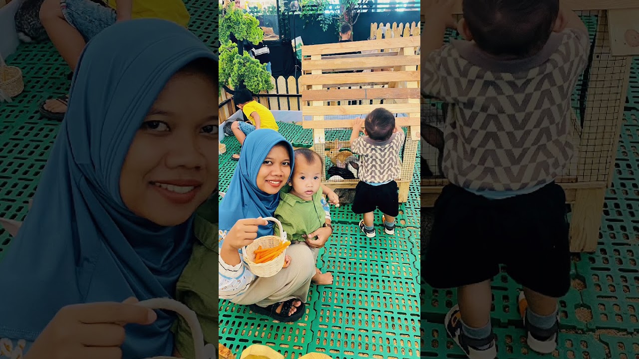 baim bermain di de'hakims aviary ciputra citra raya🤗 