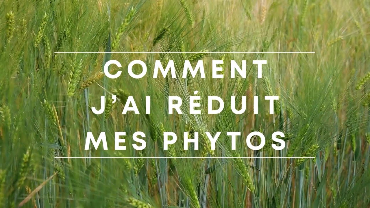 Diminuer l'utilisation des phytos, c'est possible