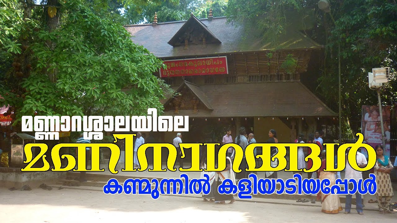 മണ്ണാറശ്ശാലയിലെ മണിനാഗങ്ങൾ കണ്മുന്നിൽ കളിയാടിയപ്പോൾ | ചെട്ടികുളങ്ങര കുത്തിയോട്ടം