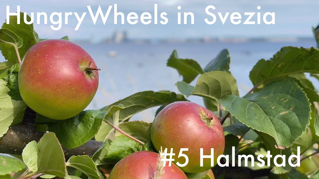 HungryWheels in Svezia #5 Halmstad