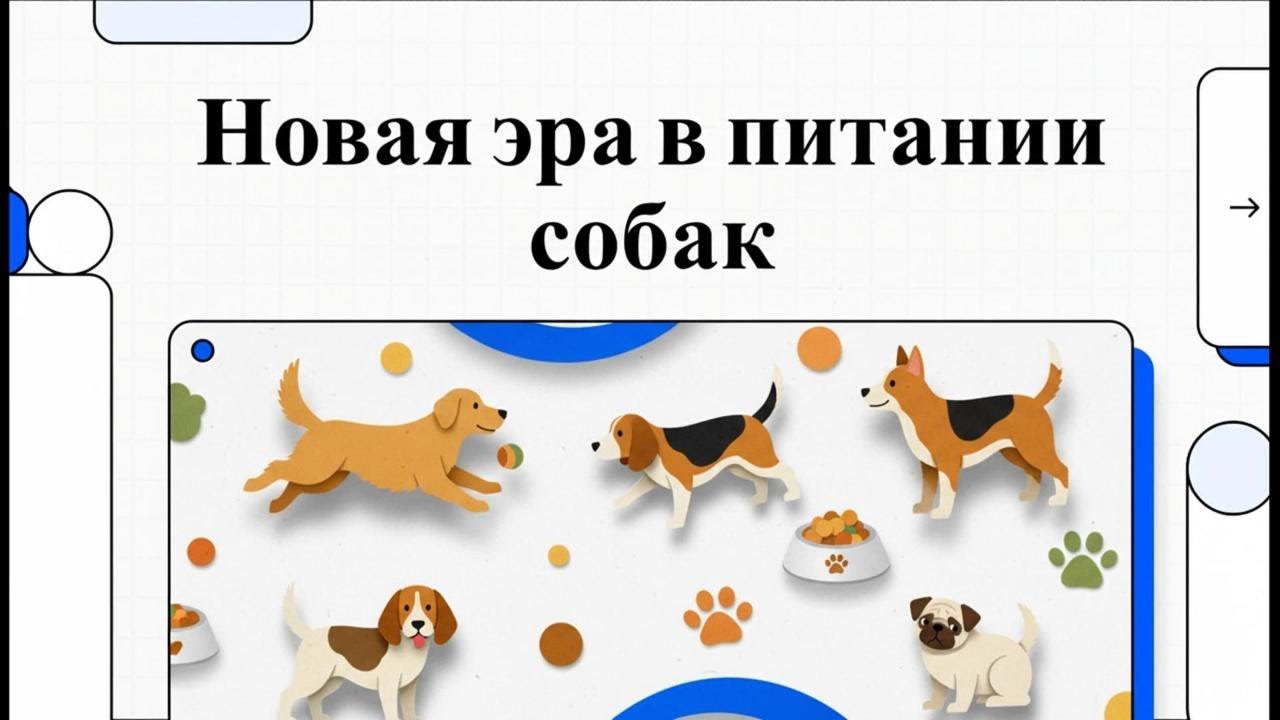 Новая эра в кормление собак