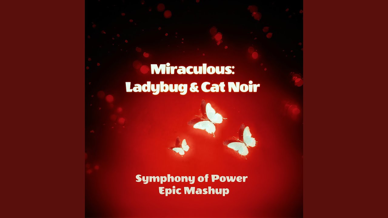 Ladybug & Cat Noir: Courage in Me