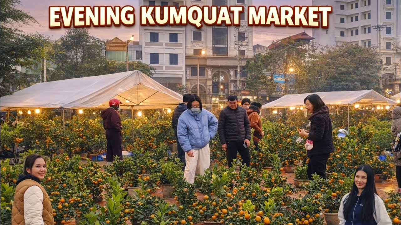 TET KUMQUAT MARKET AFTERNOON FEBRUARY 12, 2026 LANG SON VIETNAM