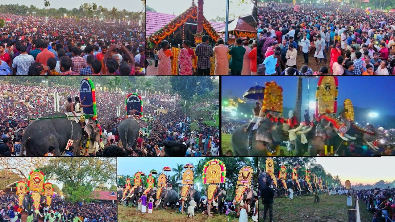 0378 Anayadi pooram 2020 ആന ഭ്രാന്തന്മാരുടെ അഭിമാനമായ ആനയടി പൂരം ഗജമേള