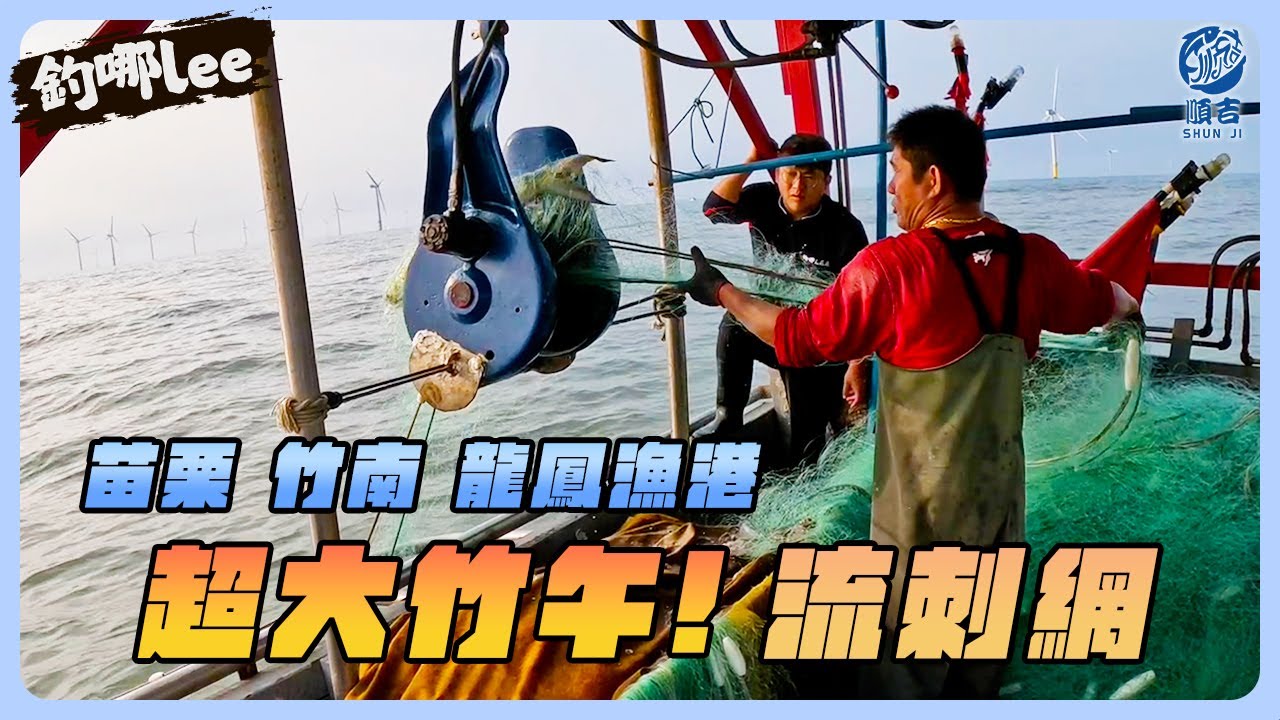 【釣哪Lee】苗栗 竹南 龍鳳漁港 漁民的辛勤與挑戰：捕捉超大魚類的艱辛