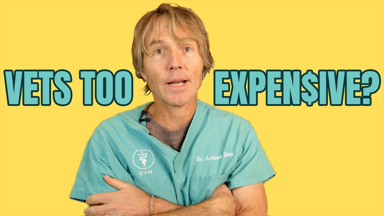 Veterinary Costs Now Too Expensive?