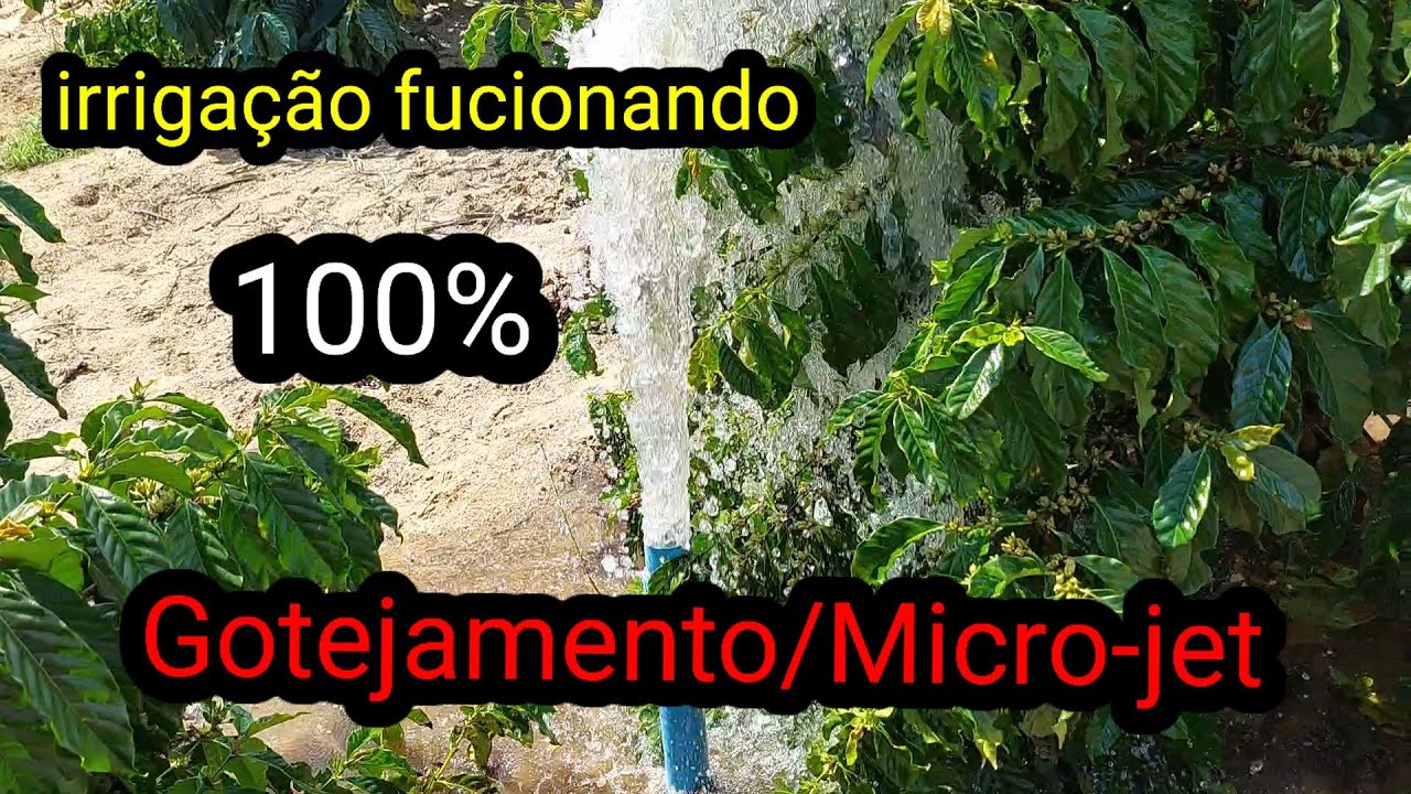 Como corrigir e desentupir a sua irrigação micro-jet/gotegamento