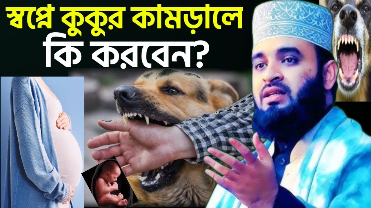 গর্ভবতী মহিলা স্বপ্নে কুকুর কামড়াতে দেখলে কি হয়? ❌ ড.মিজানুর রহমান আজহারী