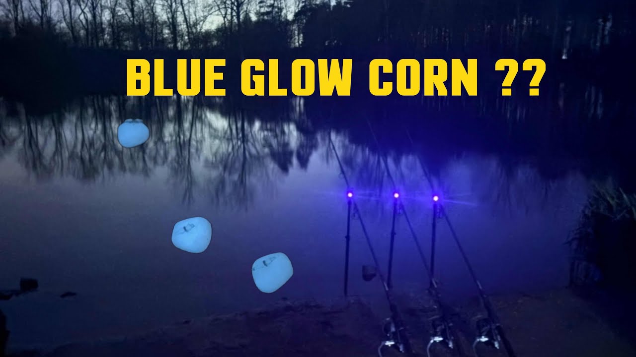 FISHING with BLUE GLOWING FAKE sweetcorn 