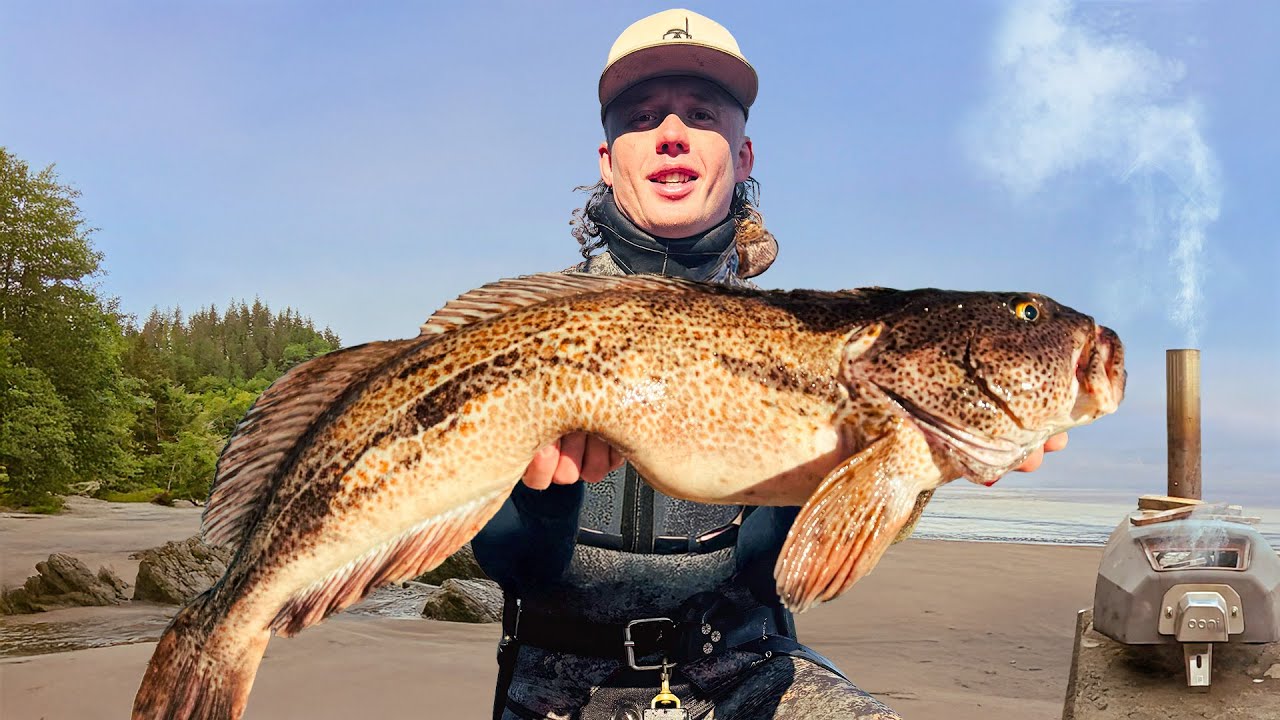 My FAVORITE Ling Cod Catch & Cook Yet