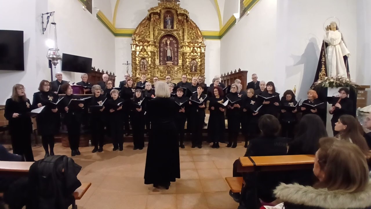 "Aures Cantibus" interpreta "No la debemos dormir"