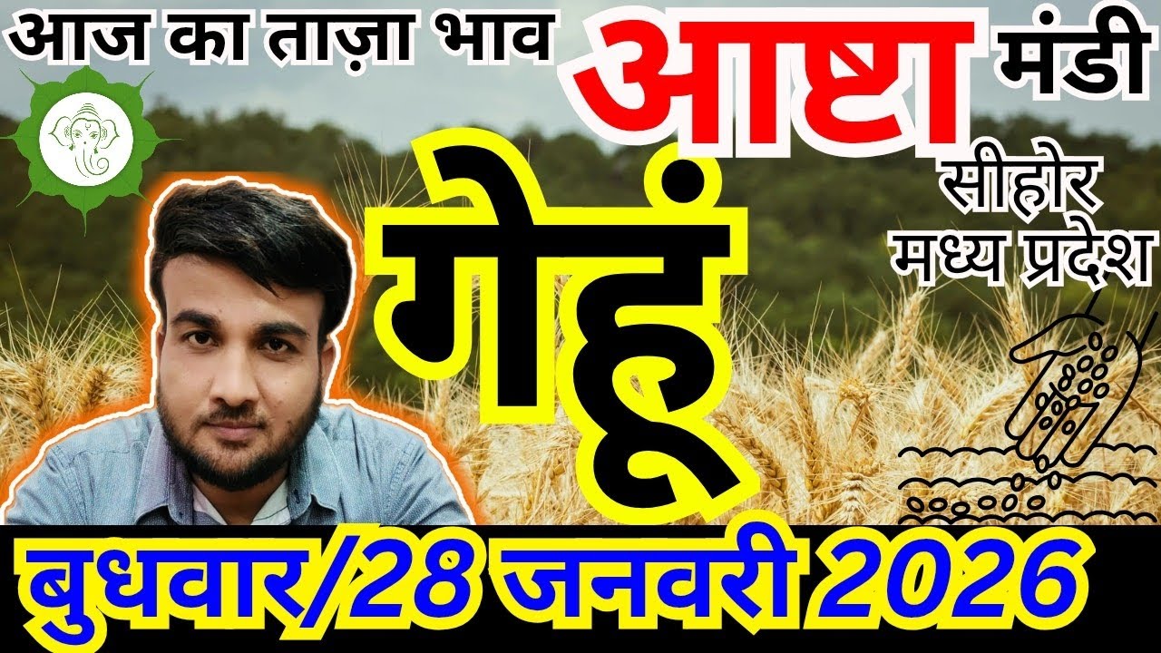 🔥🌾गेहूं आज का ताजा भाव | 28 जनवरी 2026 | आष्टा मंडी गेहूं भाव आज | संदीप नागर