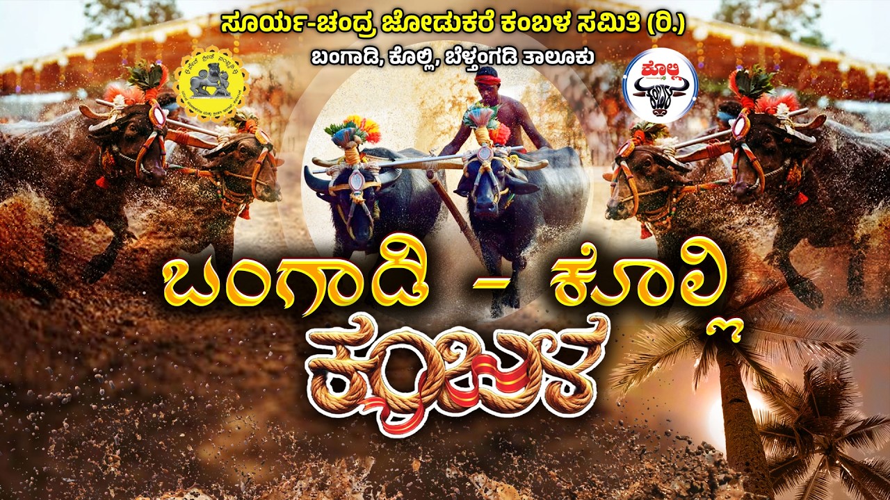 BANGADI - KOLLI KAMBALA LIVE 2026