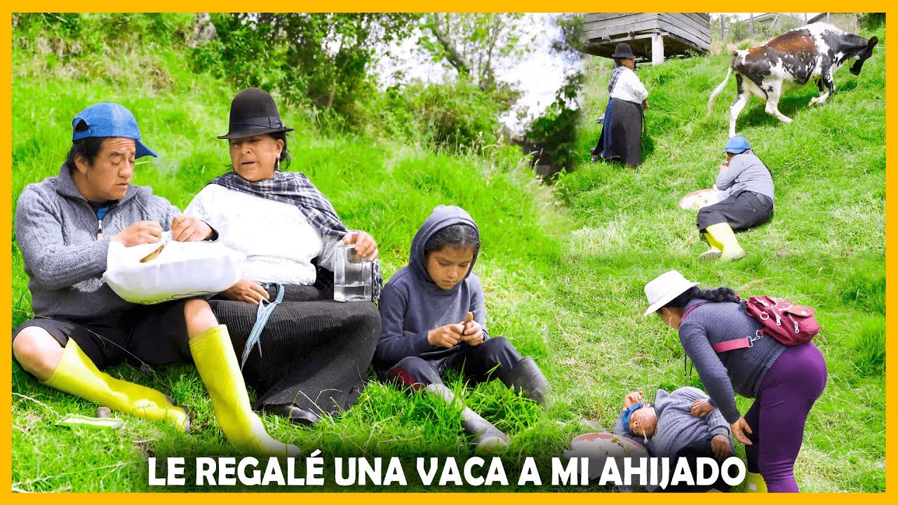 Le regalé mi mejor vaca a mi ahijado | Don Lucho
