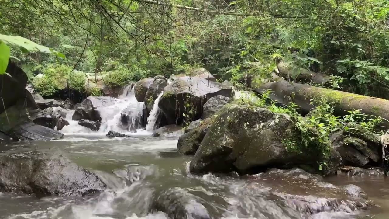 Peacefull River Flow: Nature's Lullaby for Sleep 