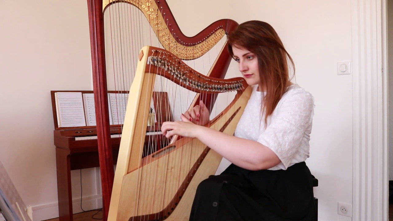 You Are The Reason - Calum Scott (Harp Cover)