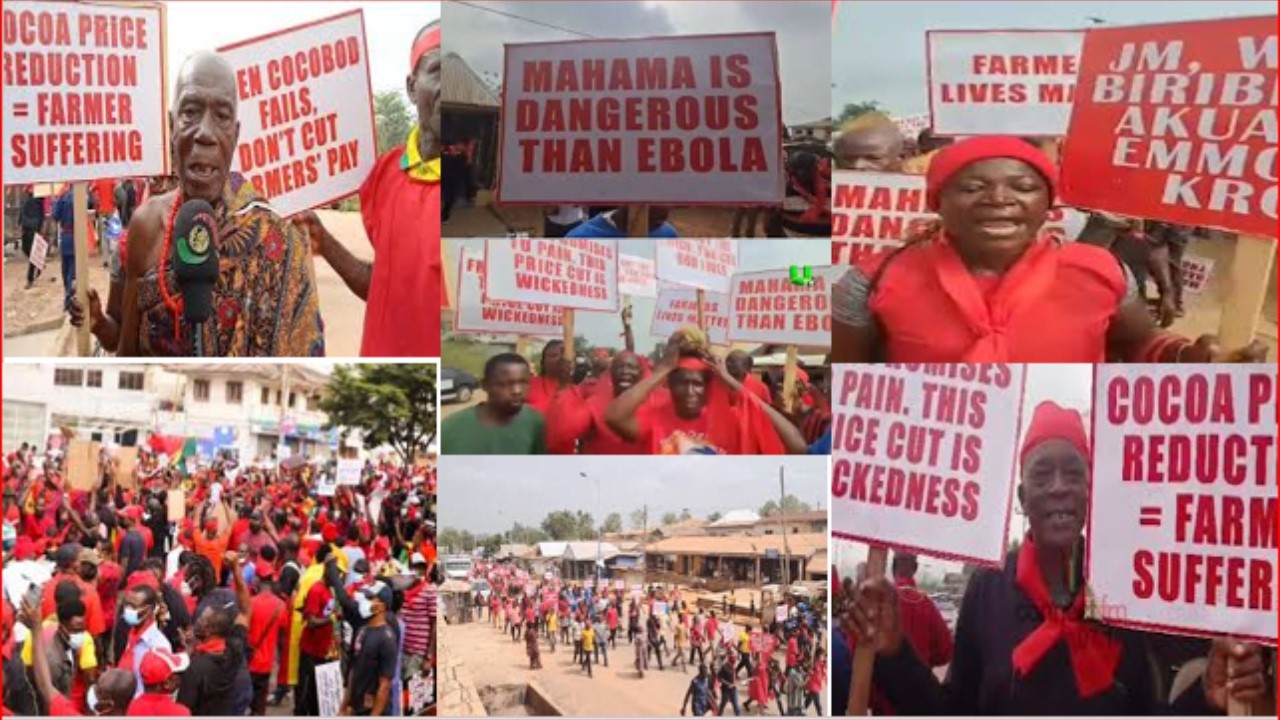 OB Shocks as COCOA Famers Demo Turns Cry...Mahama is Dangerous.