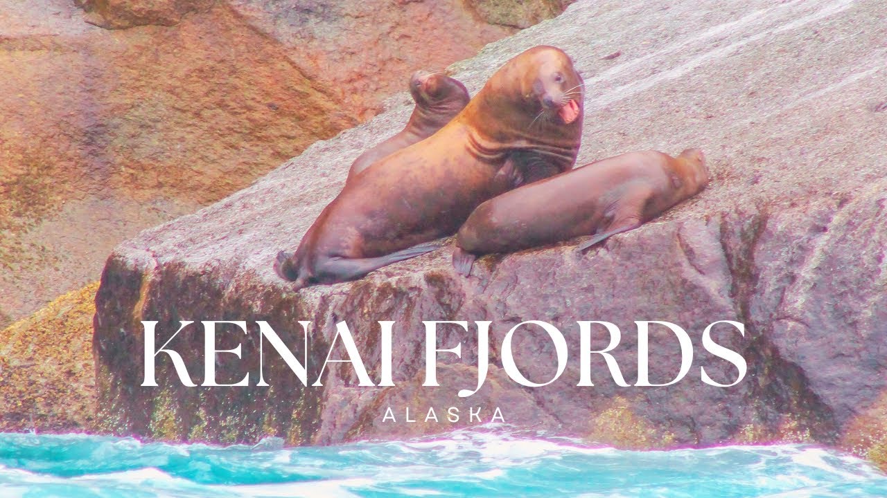 Kenai Fjords National Park Alaska Cruise