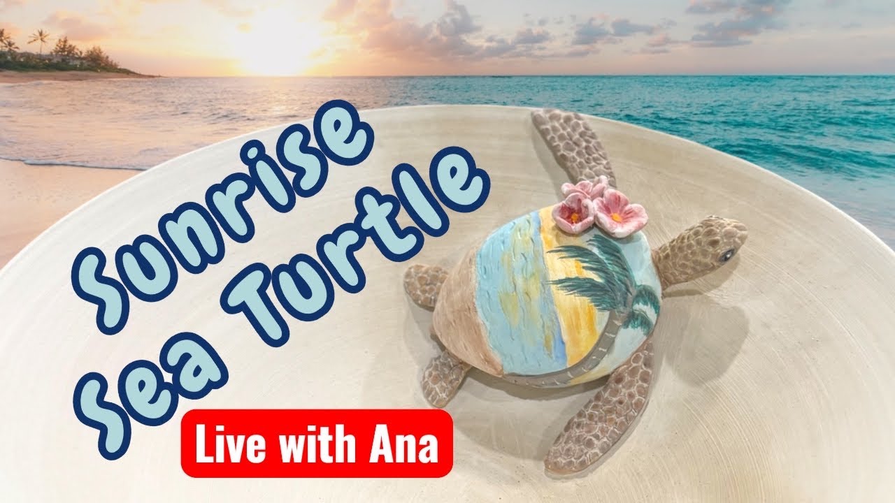 Sunrise SeaTurtle Live with Ana - I’m sorry about the sound issues 