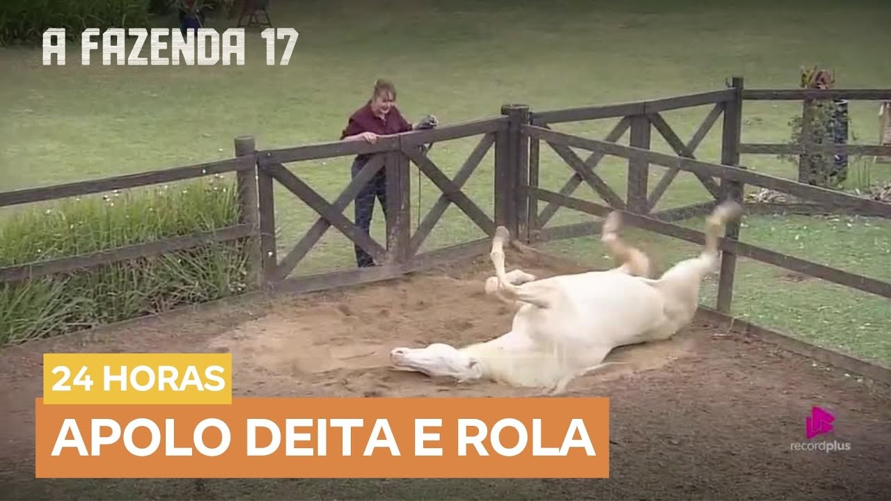 Cavalo Apolo rola na areia e encanta Gaby Spanic: 'Que lindo' | A Fazenda 17