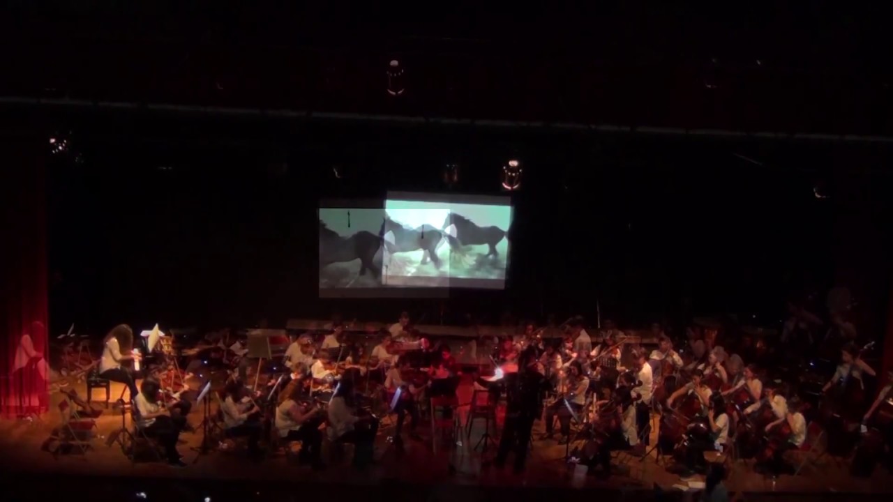Run - L.Einaudi(Preparatory Symp.Orchestra of ILiON  Music School-GR)