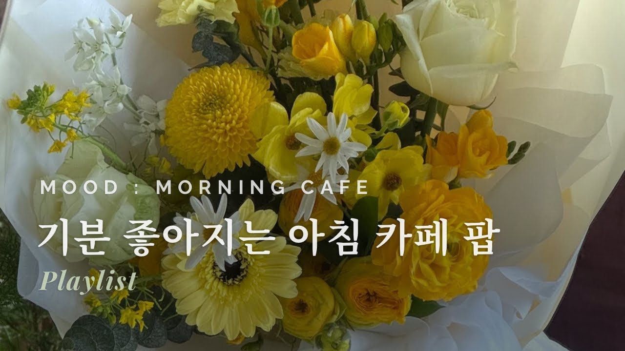 Morning Cafe ☀️ | 기분 좋은 하루를 여는 아침 카페 음악 플레이리스트