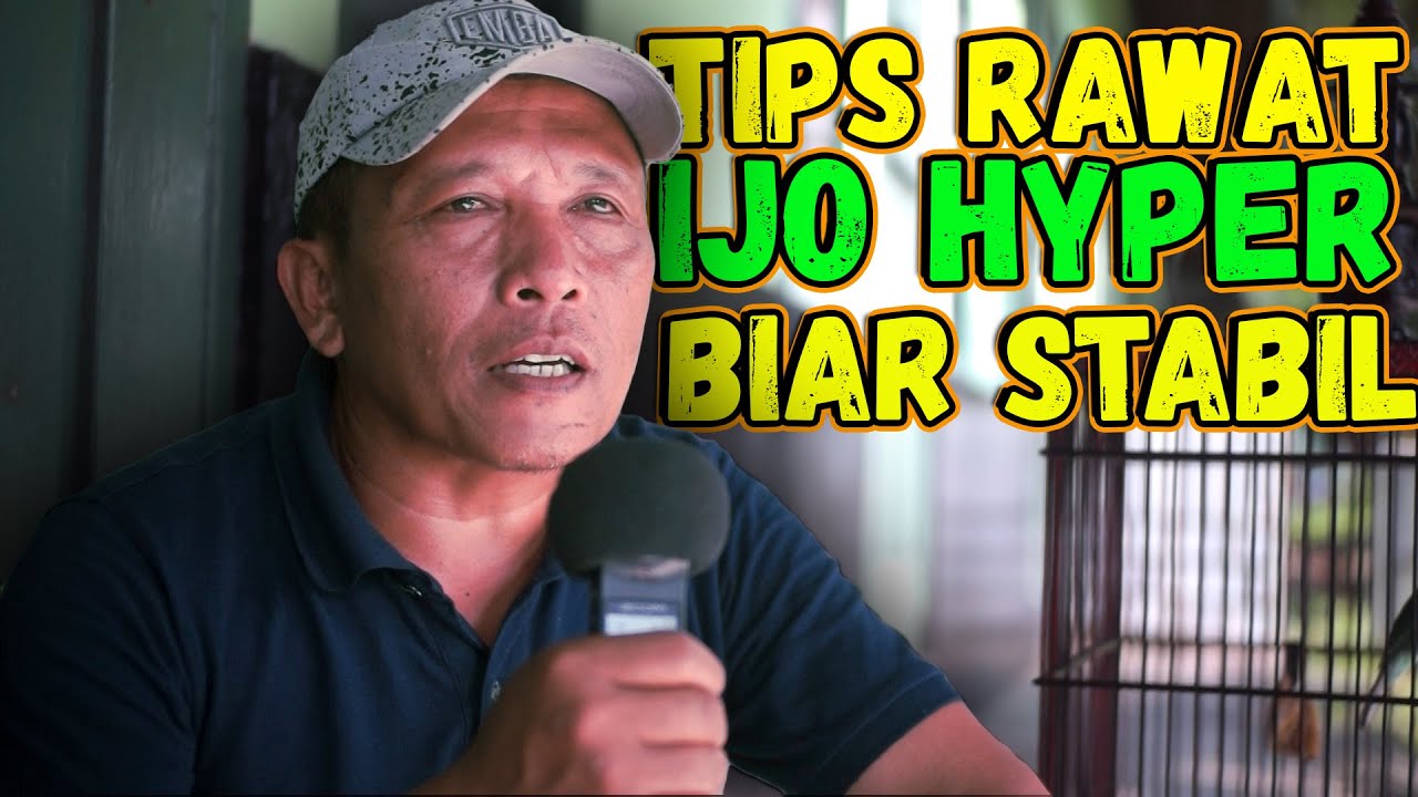 JANGAN ABLAK IJO HYPER DI GANTANGAN