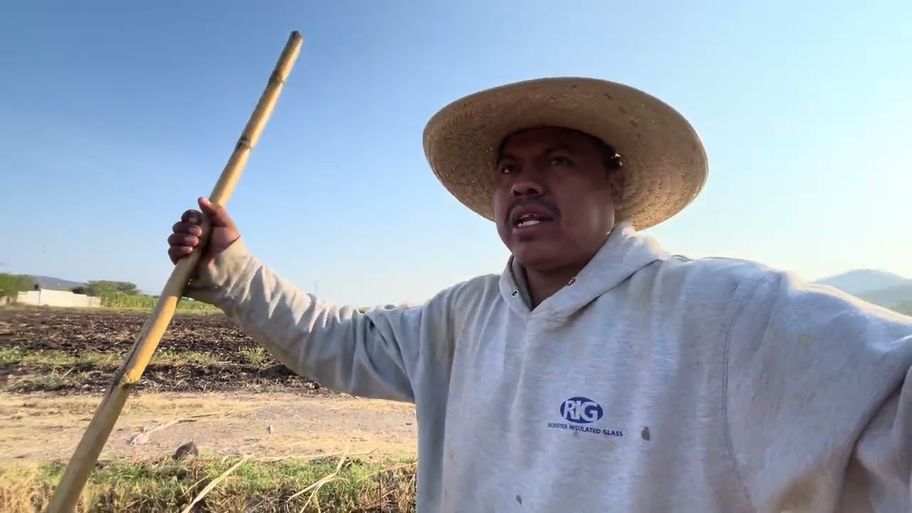 Esto es lo que le aplicamos en la primer fumigada a la caña de azúcar