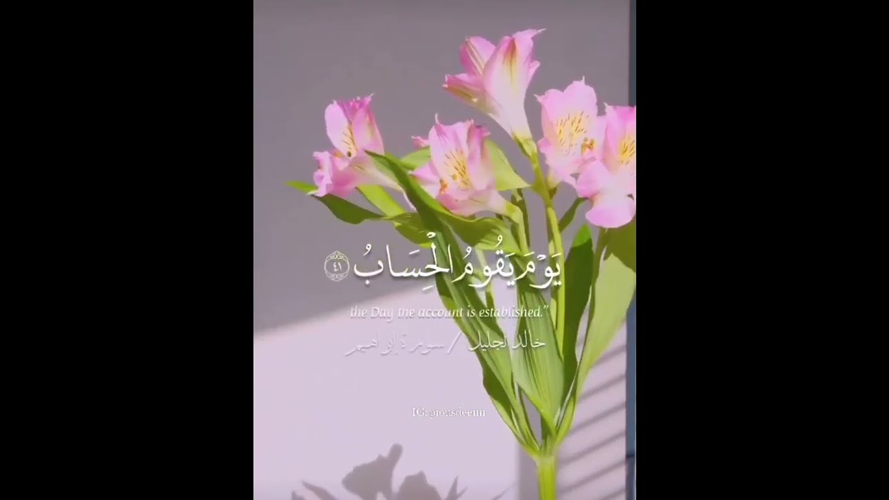 Quran that dig's deep into your feelings