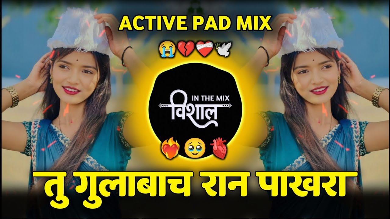 तू गुलाबाचं रानपाखरा || tu gulabach ran pakhara || Marathi DJ Song Active Pad Mix 