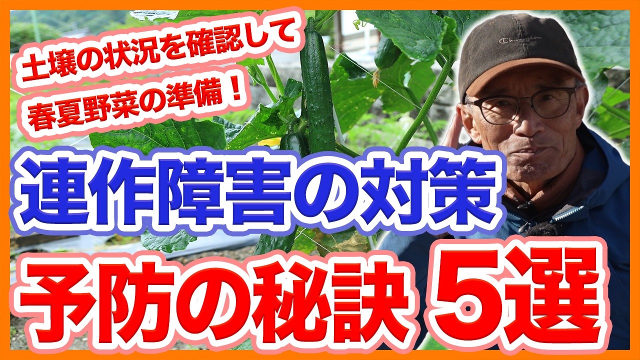 家庭菜園や農園の春夏野菜栽培で連作障害を予防する！土壌のバランスを保つコツと春夏野菜の育て方！【農家直伝】