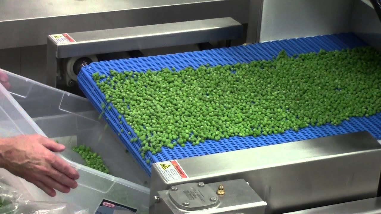 IQF Pea Tempering
