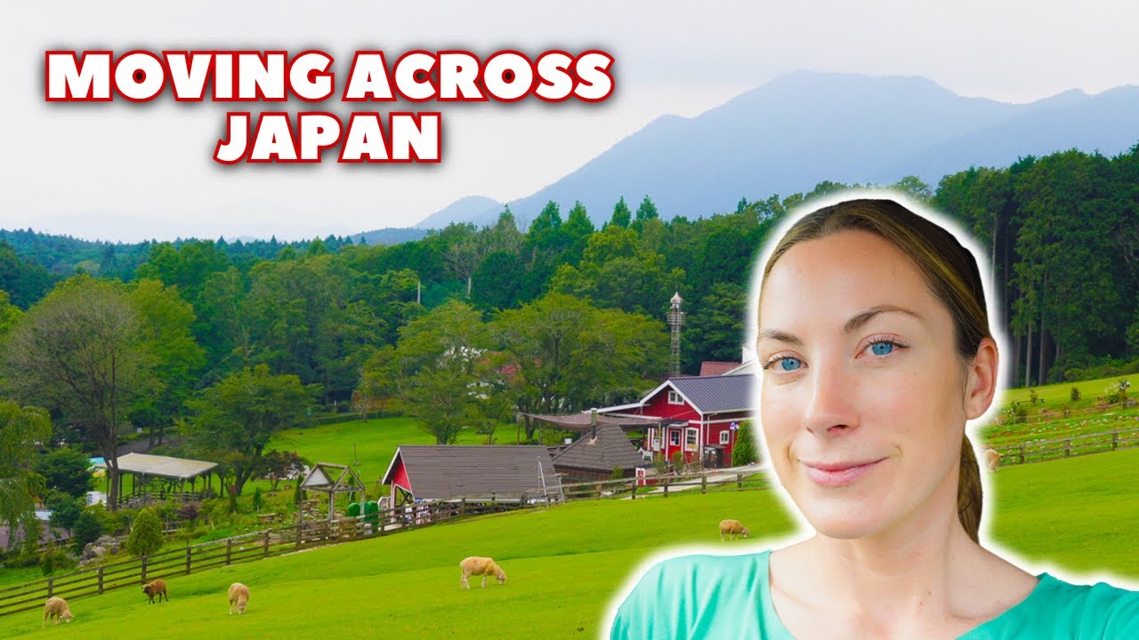 ROADTRIP ACROSS JAPAN!! Family and dog-friendly Airbnb's, rest stops, and things to do | Moving Ep 4