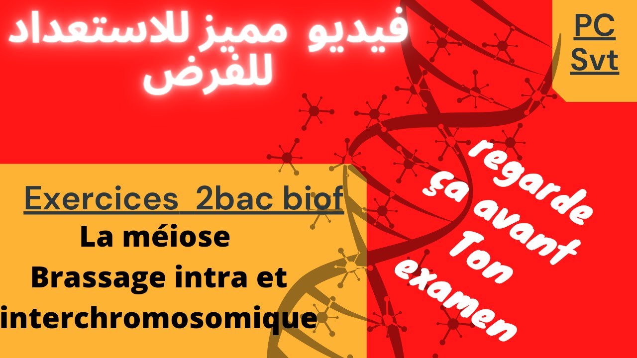 Exercices La méiose👍Brassage génétique 👍Information génétique👍
