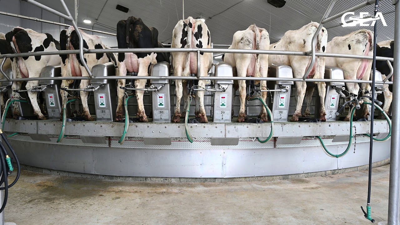 Ferme Cloutier - Farm Profile - Featuring the GEA DairyRotor T8900