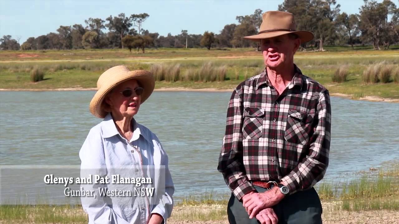Farm Dam Blitz - making wildlife welcome