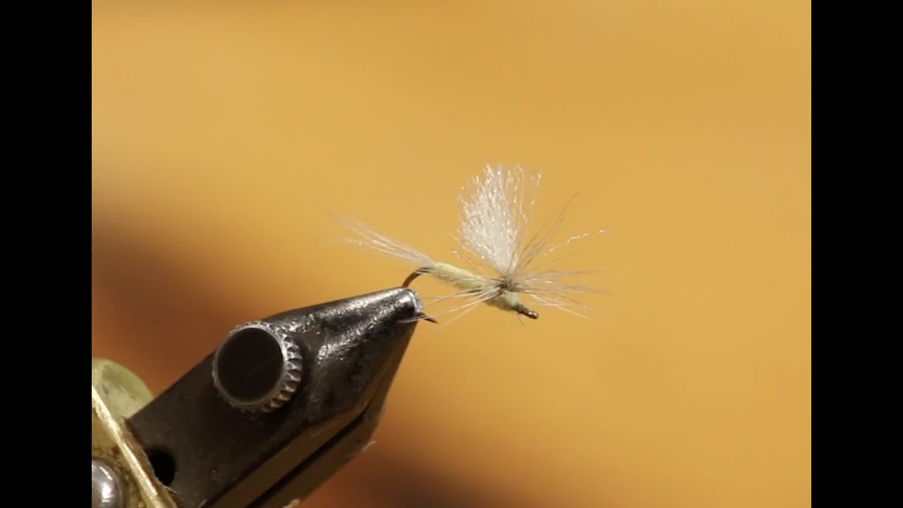 Tying a Parachute PMD with Kelly Galloup