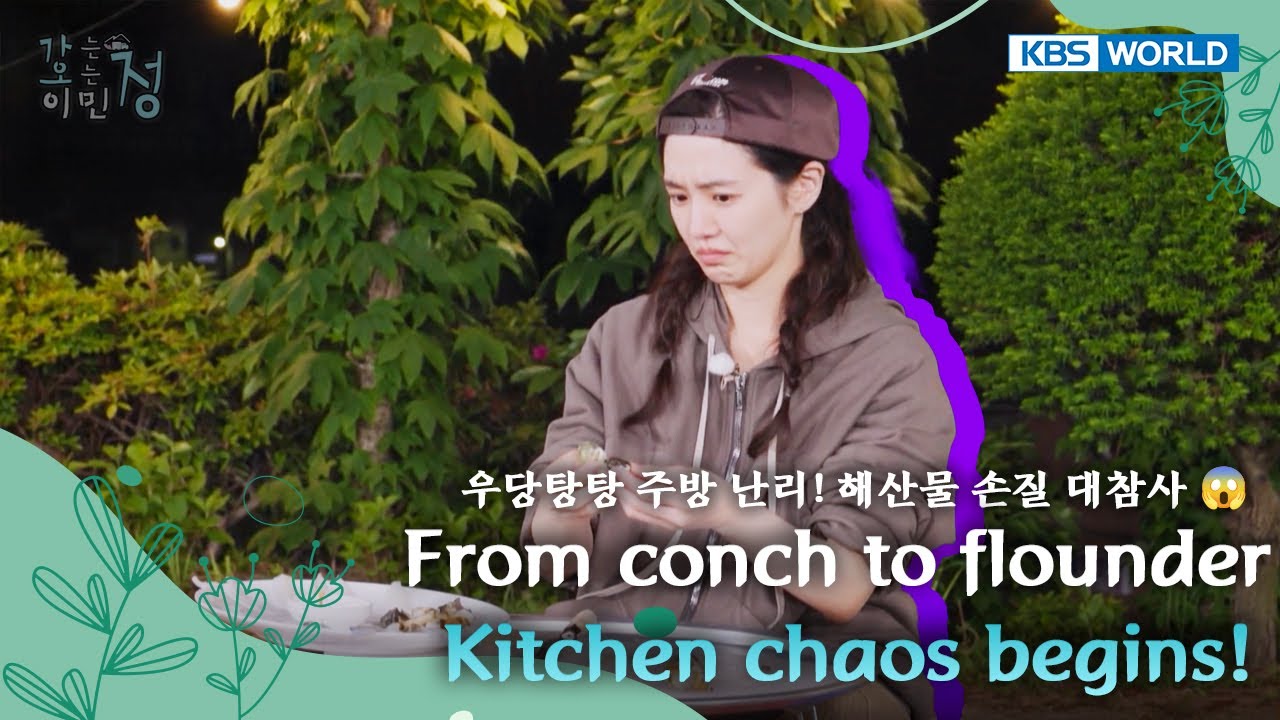 The Clumsy Seafood Battle Begins 🐟 [Heart on Wheels Ep08] | KBS WORLD TV 250902