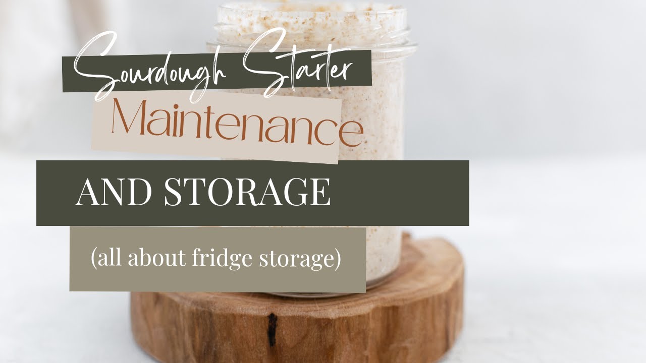 How to maintain and store your sourdough starter (all about putting it in the fridge!)