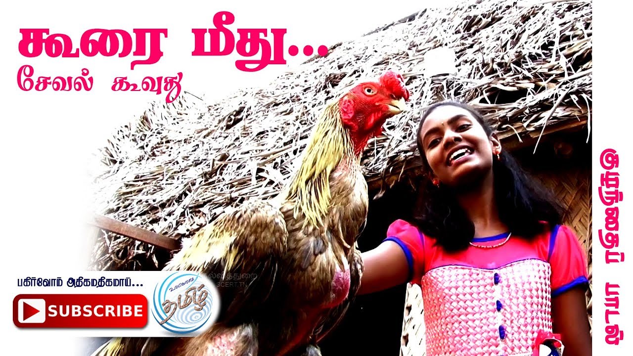 Tamil Rhymes for Children சேவல் கூவுது - கூரை மீது
